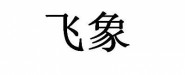 北京飛象文化傳播有限公司